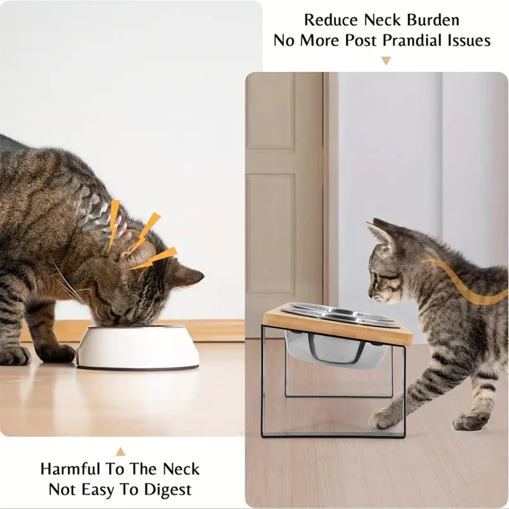 15° Tilted Raised Cat Bowls – 2 Stainless Steel Bowls with Stand