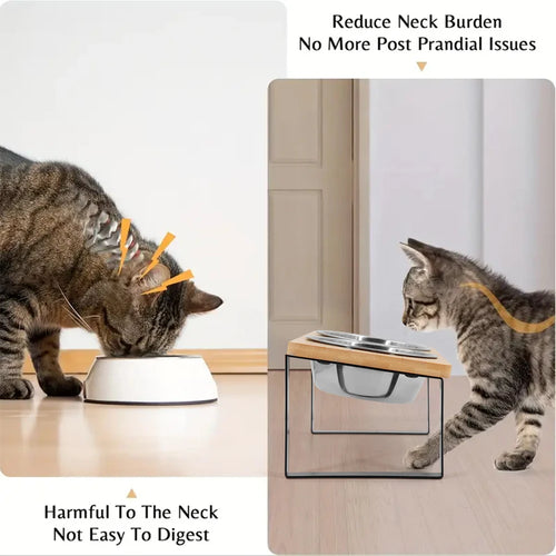 15° Tilted Raised Cat Bowls – 2 Stainless Steel Bowls with Stand